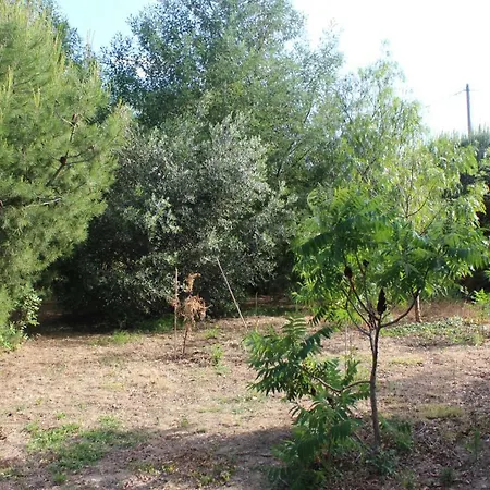 Mas Fany Et Olivier Apartment Saint-Esteve (Pyrenees-Orientales)